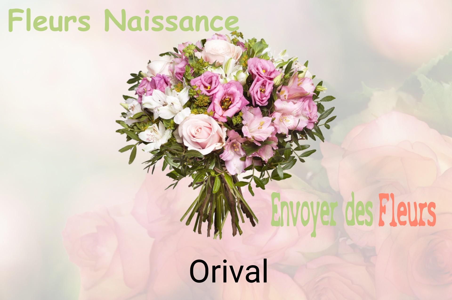Bouquet de fleurs de naissance livré à Orival